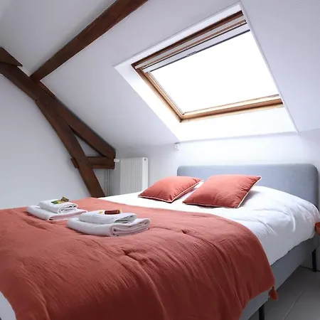 E Le Clos Des Lumieres, Maison 13 Pers Avec Jardin Daire