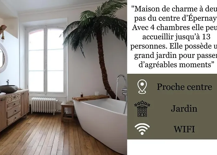 E Le Clos Des Lumières, Maison 13 Pers Avec Jardin Épernay