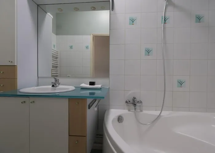 E Le Clos Des Lumières, Maison 13 Pers Avec Jardin Épernay